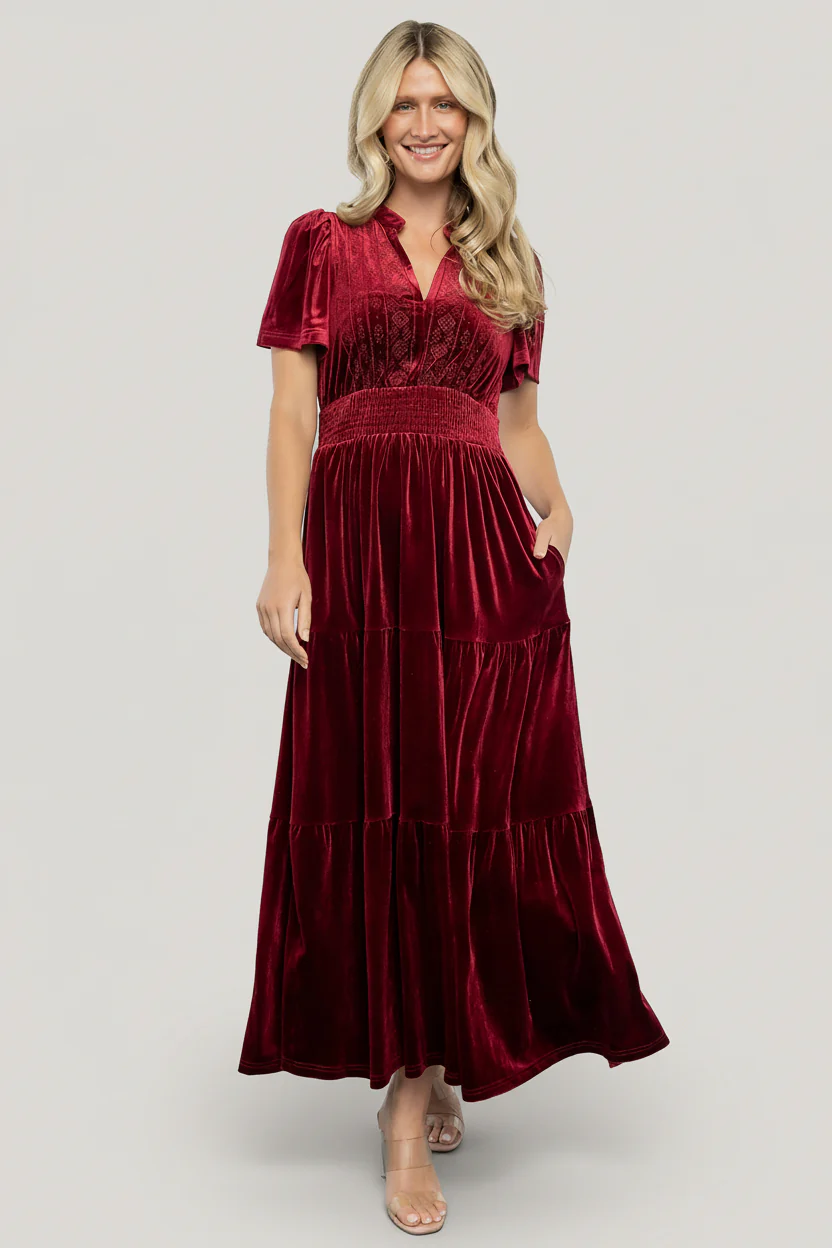 Maida Embroidered Velvet Maxi Dress — Cranberry