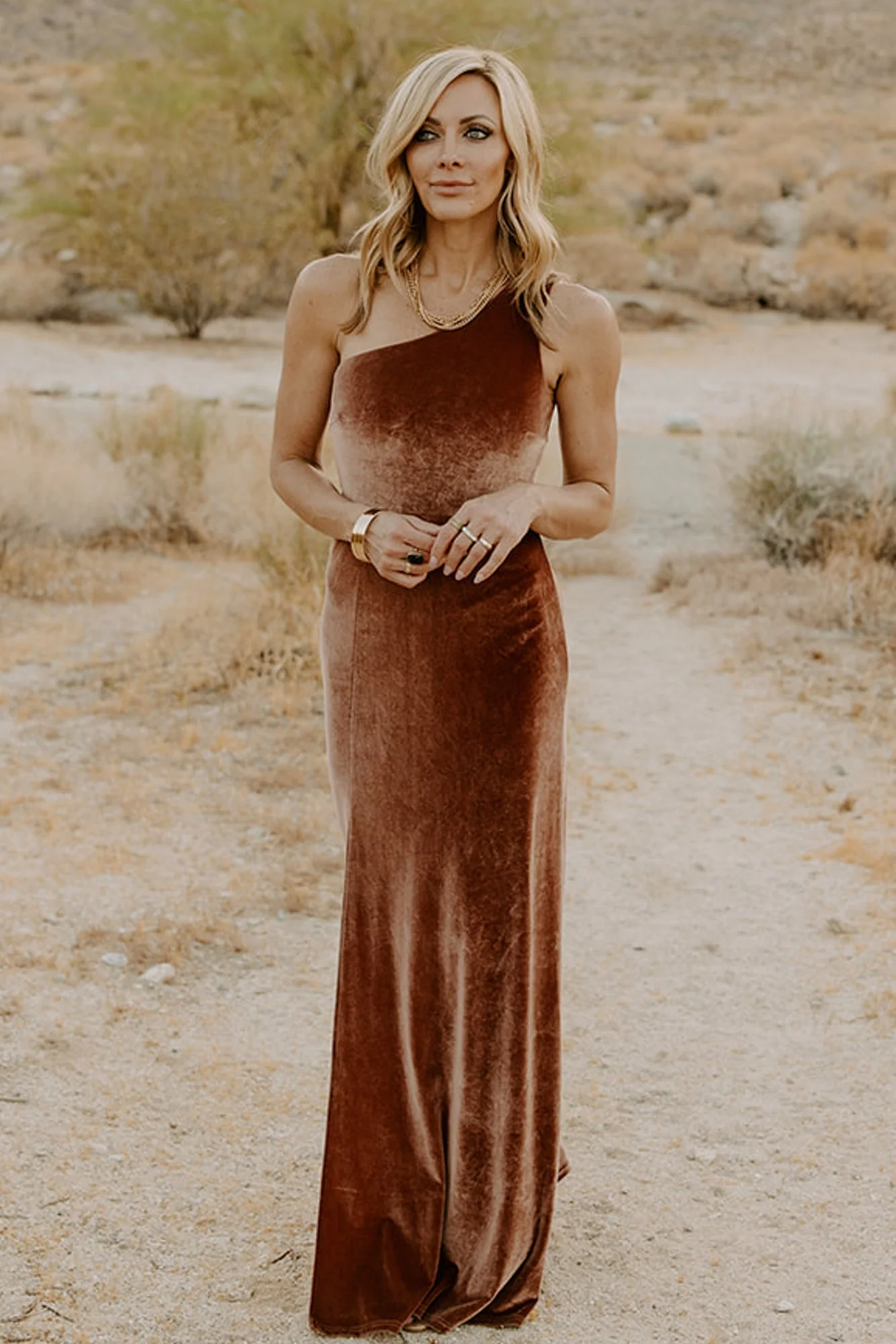 Tatiana Velvet One-Shoulder Maxi Dress Bronze 19 Tatiana Velvet One-Shoulder Maxi Dress Bronze