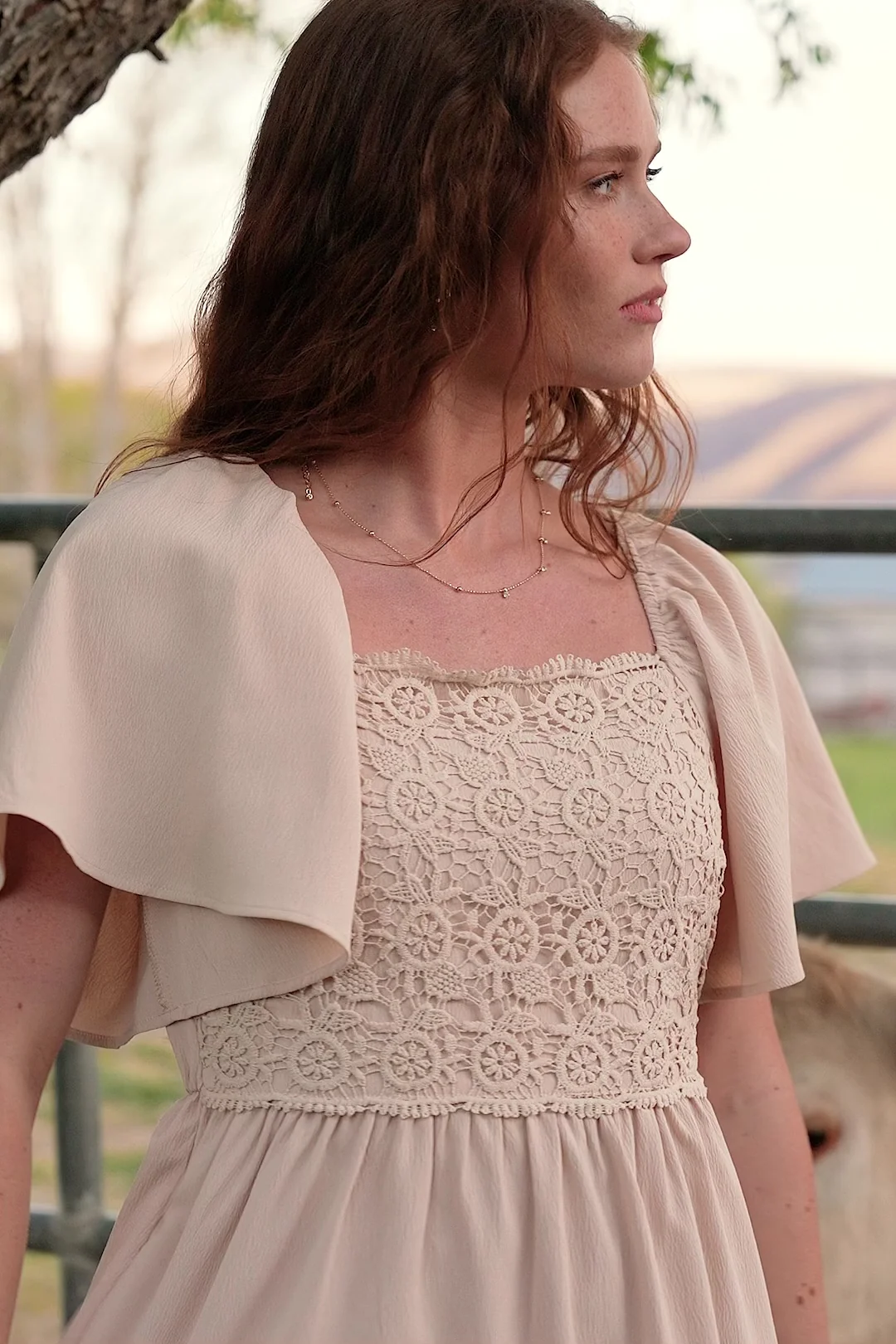 Fauna Lace Top Midi Dress in Natural Taupe